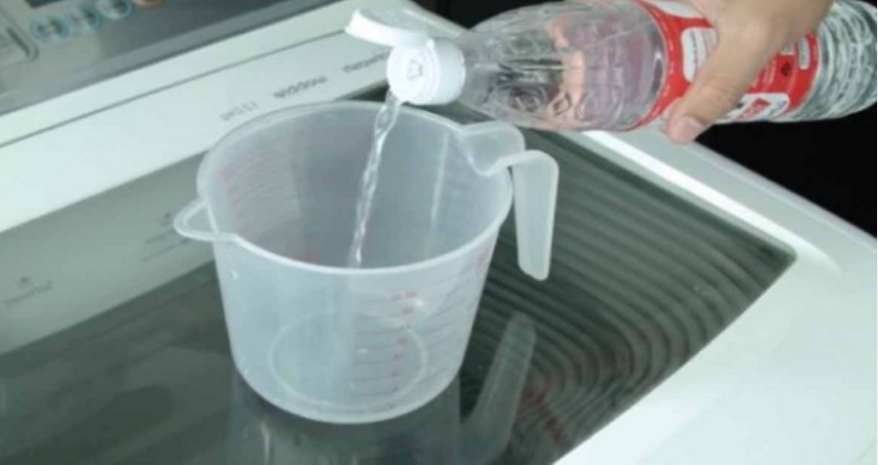 Chỉ với một nắm sả, bạn vừa có thể đuổi ruồi giấm hiệu quả lại giúp không gian nhà trong lành-3