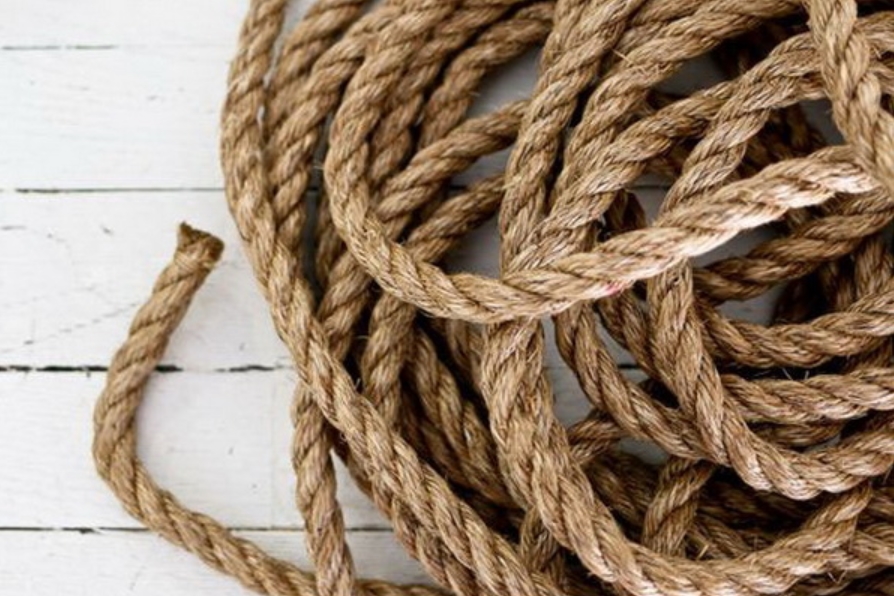 Chỉ với một nắm sả, bạn vừa có thể đuổi ruồi giấm hiệu quả lại giúp không gian nhà trong lành-6