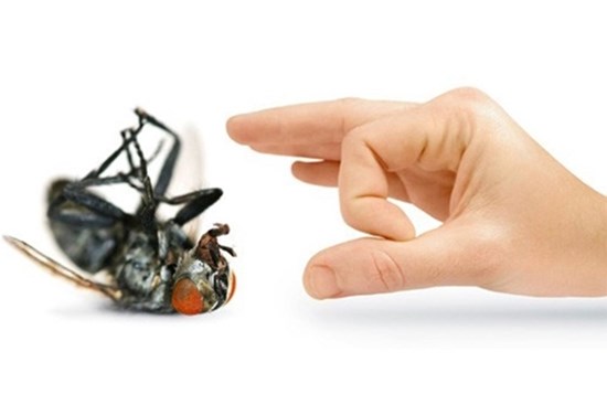 Chỉ với một nắm sả, bạn vừa có thể đuổi ruồi giấm hiệu quả lại giúp không gian nhà trong lành