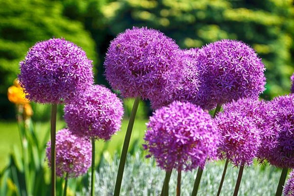 Cuối tháng 2, 4 con giáp đón may mắn, gặp quý nhân, kiếm bộn tiền, cuộc sống không phiền muộn-5