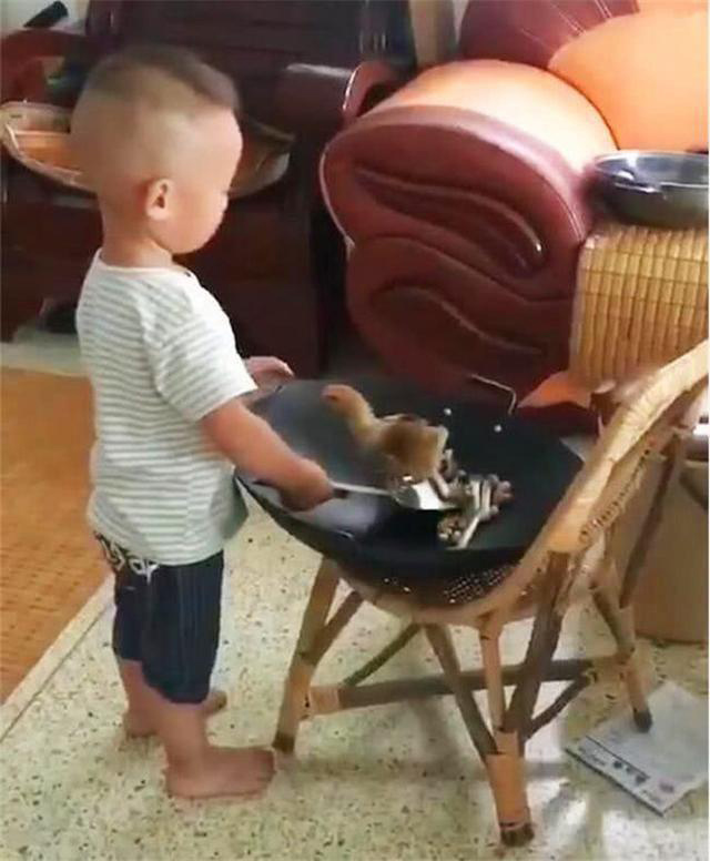 Mua gà con về để nuôi lớn, người mẹ té ngửa vì hành động bất ngờ của cậu con trai 3 tuổi-2