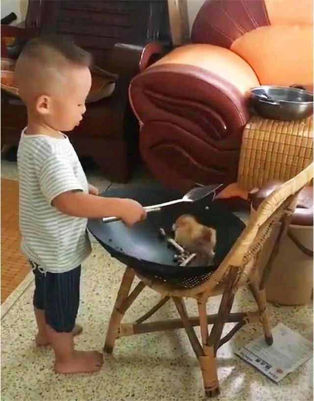 Mua gà con về để nuôi lớn, người mẹ té ngửa vì hành động bất ngờ của cậu con trai 3 tuổi-3