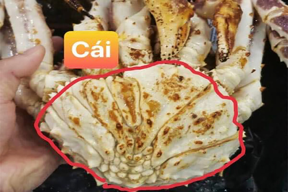 Chủ cửa hàng hải sản tiết lộ sự thật ít người biết về cua hoàng đế-2