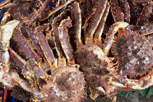 Nhà giàu Việt chi cả triệu đồng mua chân của con vật này về thưởng thức-3