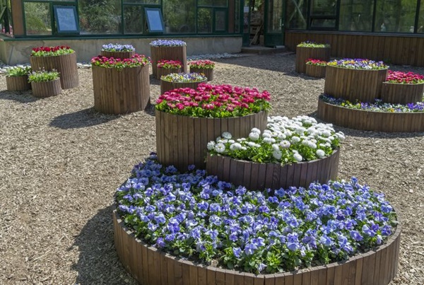 8 ý tưởng thiết kế không gian sân vườn cho ngôi nhà ở ngoại ô-2