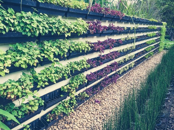 8 ý tưởng thiết kế không gian sân vườn cho ngôi nhà ở ngoại ô-5