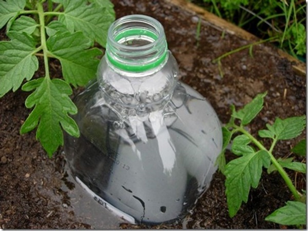 8 ý tưởng thiết kế không gian sân vườn cho ngôi nhà ở ngoại ô-7