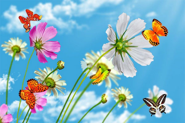 Trẻ sinh vào 5 ngày Âm lịch này, thông minh hơn bạn cùng trang lứa, tương lai xán lạn-3