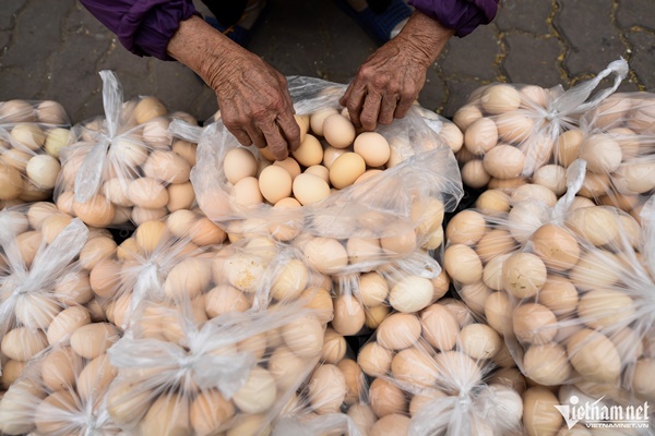 Ăn trứng gà có nguy cơ lây nhiễm H5N1 không?-1