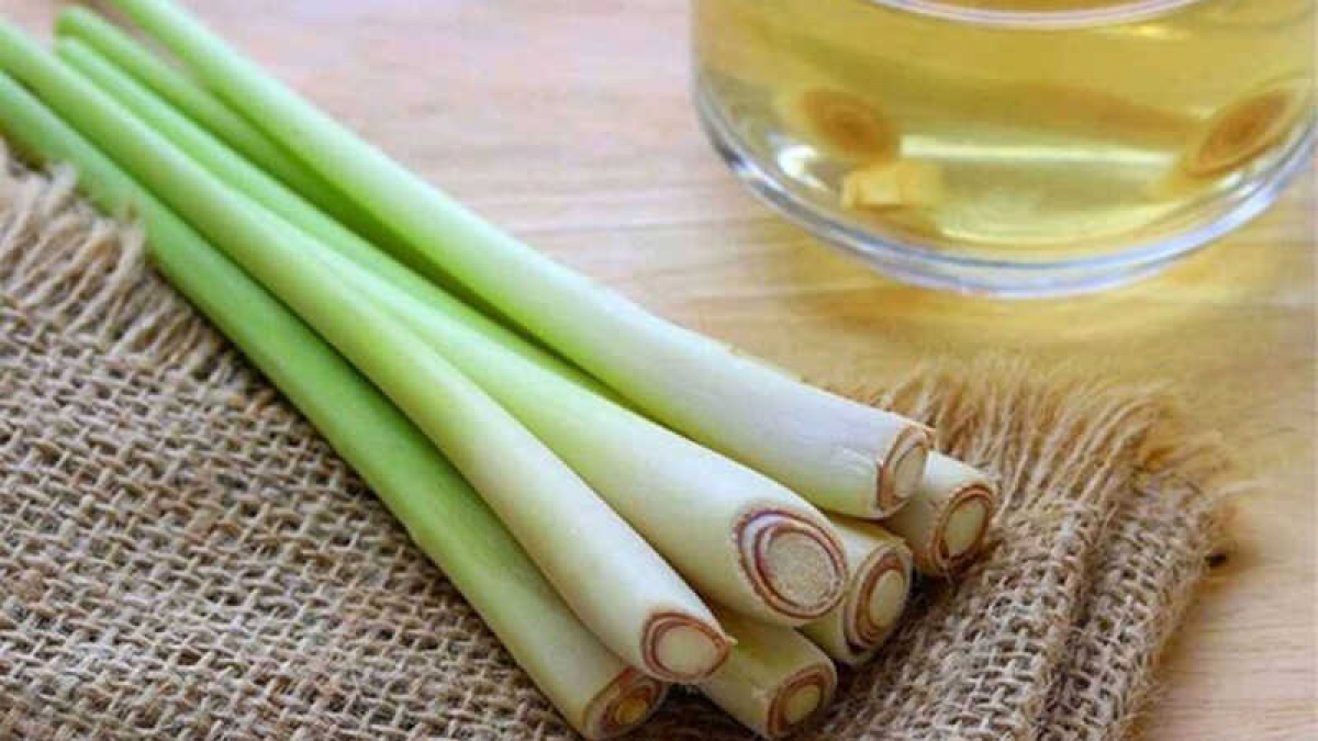 Phòng tránh muỗi đốt đơn giản từ thiên nhiên-2