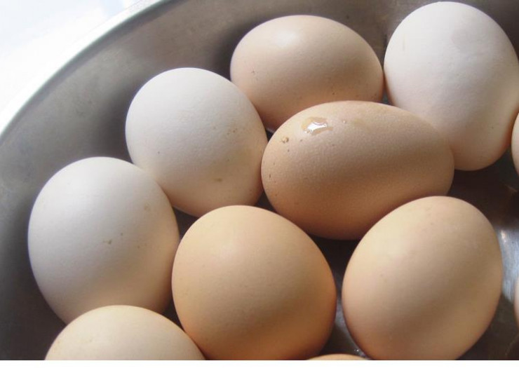 Khác trứng gà giải cứu, loại trứng gà này lại được săn đón với giá cao gấp vài chục lần-2