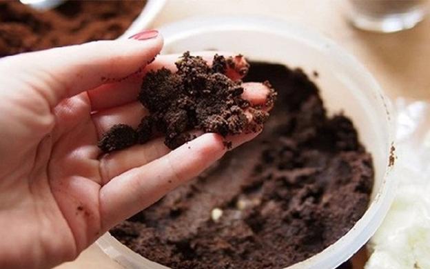 8 cách ngăn rắn, chuột, rết, nhện, thằn lằn xuất hiện trong nhà tắm và nhà vệ sinh nhà bạn-6