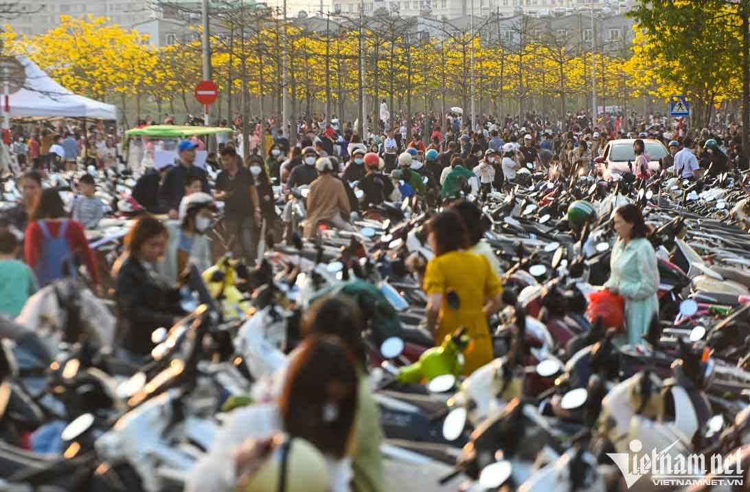 Trèo cây, leo thang để có bức ảnh đẹp với con đường vàng-1