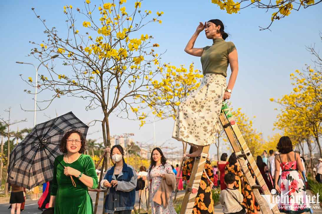 Trèo cây, leo thang để có bức ảnh đẹp với con đường vàng-6