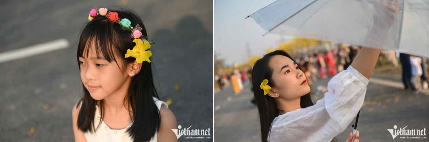 Trèo cây, leo thang để có bức ảnh đẹp với con đường vàng-9