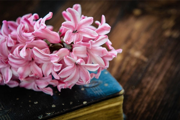 Sinh tháng Âm lịch này thông minh tiềm ẩn, tầm nhìn sáng suốt, sớm thành cao thủ kiếm tiền-4