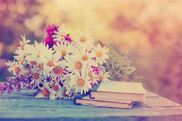 Tử vi ngày 28/2/2023: Tuổi Tỵ nguy cơ mất tiền, tuổi Mùi tin vui tình cảm-2