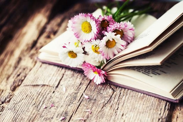 Tử vi ngày 28/2/2023: Tuổi Tỵ nguy cơ mất tiền, tuổi Mùi tin vui tình cảm-3