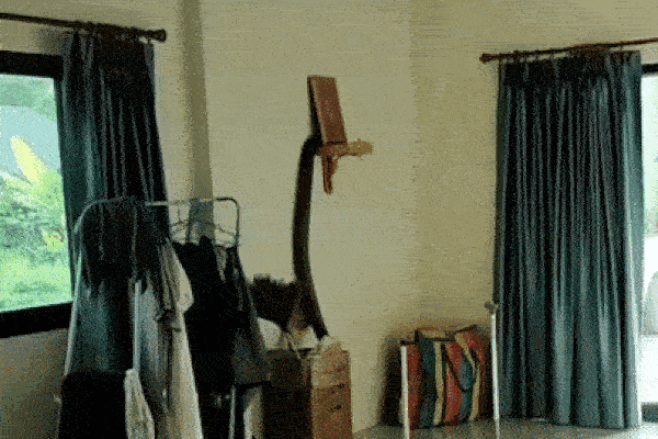 Clip: Thót tim cảnh rắn hổ mang cực độc ẩn nấp trong đầu xe máy-1