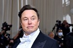 Elon Musk đang xây dựng một thị trấn trong mơ-5