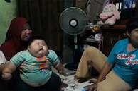 Indonesia: Bé trai 16 tháng nặng như trẻ 8 tuổi, mặc vừa áo của bố