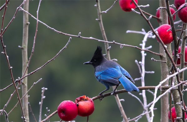 Tháng 3 vận may liên tiếp, 4 con giáp thuận buồm xuôi gió, sự nghiệp thành công, không còn vất vả-2
