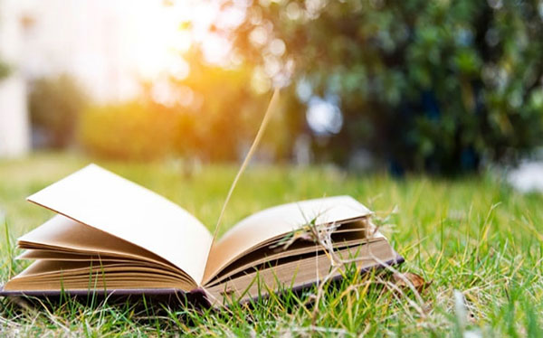 Tử vi ngày 1/3/2023: Tuổi Sửu một mình gánh vác, tuổi Dần người âm thầm giúp-2