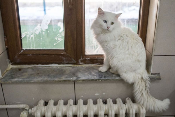 Người đàn ông bị vợ đánh suốt 20 năm, luôn phải trang điểm để che dấu vết-3