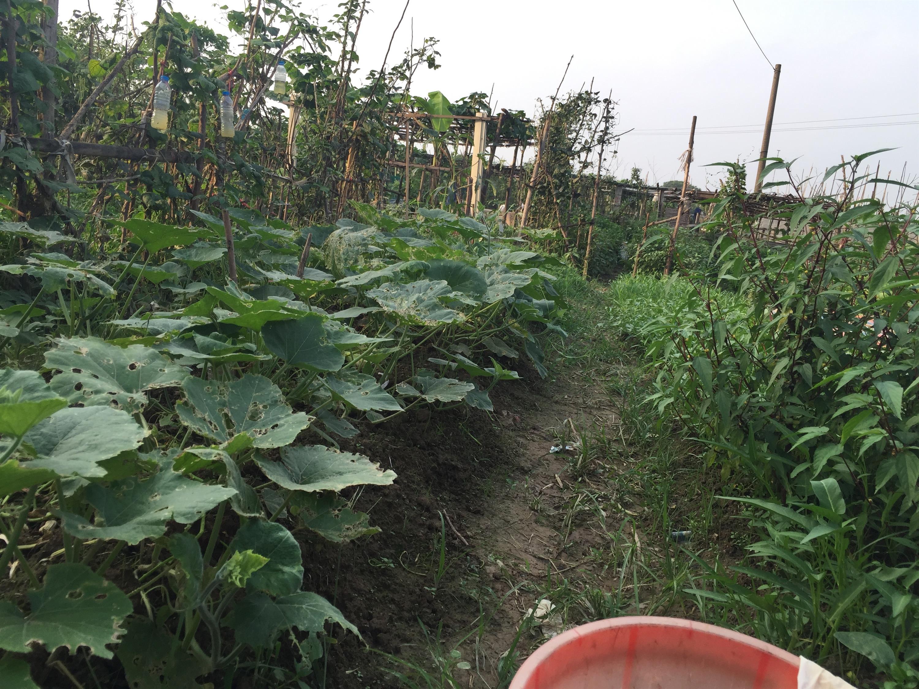 Chuyện về người phụ nữ ở Hà Nội hai lần chụp ảnh thờ cho chính mình-4