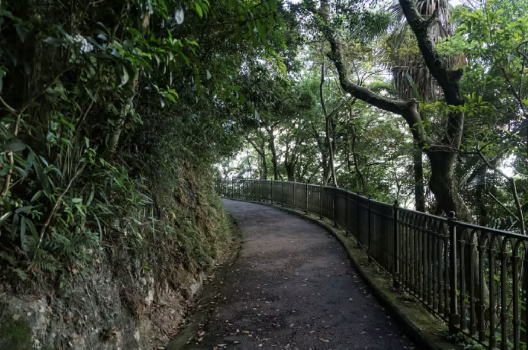 Số phận những căn hộ từng xảy ra án mạng ở Hong Kong đi về đâu?-2