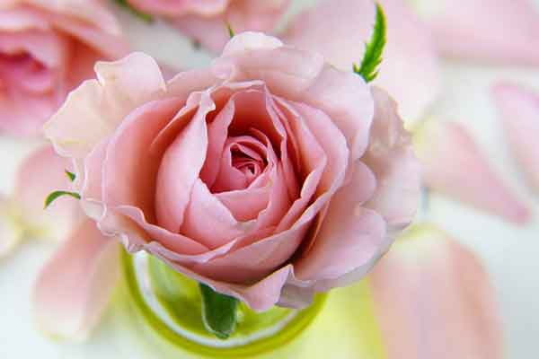 4 con giáp tràn đầy năng lượng, tài vận thăng hoa ngày đầu tháng 3-2