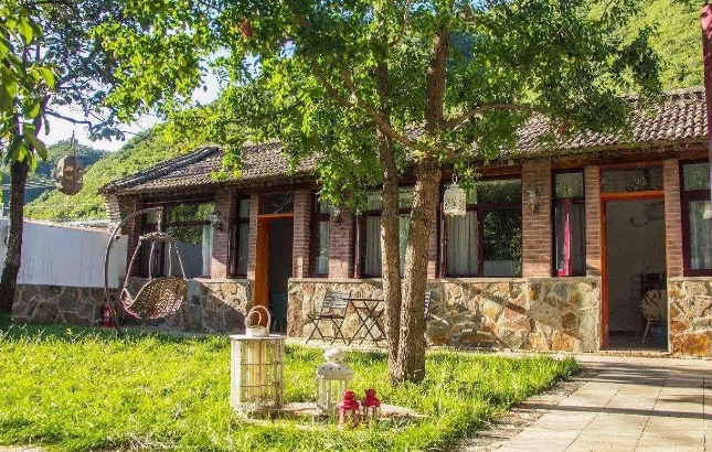 Người xưa nói: Trồng năm cây cảnh này trước sân, con cháu giàu có trăm đời-9