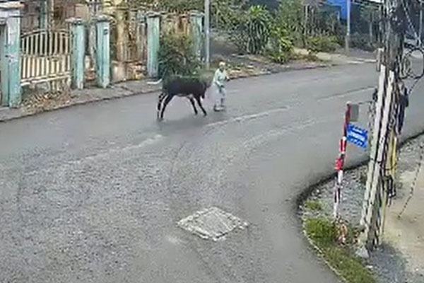 Xác minh bé trai Hàn Quốc thất lạc khi nhập cảnh vào Việt Nam khoảng 7 năm trước-2