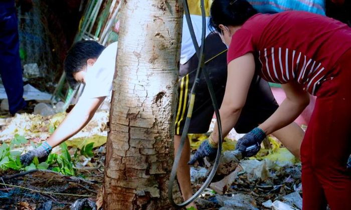 3 trường hợp tử vong do sốt xuất huyết-1