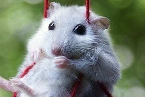 Tra cứu lịch âm hôm nay thứ Năm ngày 2/3/2023-2