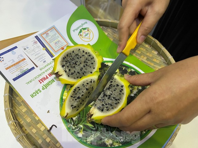 Lạ mắt thanh long vàng độc lạ, giá đắt gấp 15 lần loại thường-2