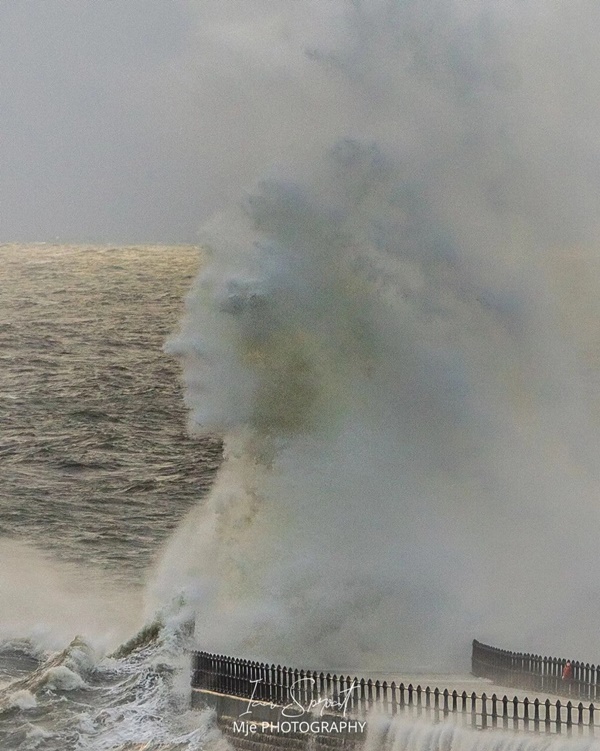 Dành 12 tiếng chụp 4.000 bức ảnh ở bến cảng, người đàn ông sửng sốt khi xem lại 1 tấm-1