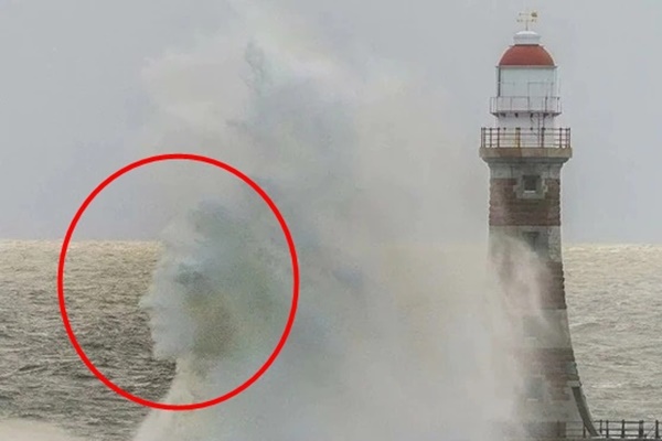 Dành 12 tiếng chụp 4.000 bức ảnh ở bến cảng, người đàn ông sửng sốt khi xem lại 1 tấm-2