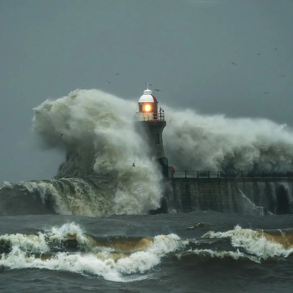 Dành 12 tiếng chụp 4.000 bức ảnh ở bến cảng, người đàn ông sửng sốt khi xem lại 1 tấm-3