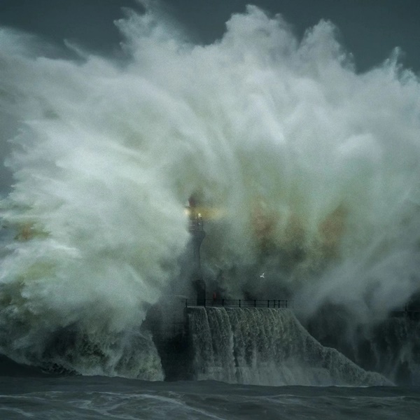 Dành 12 tiếng chụp 4.000 bức ảnh ở bến cảng, người đàn ông sửng sốt khi xem lại 1 tấm-4