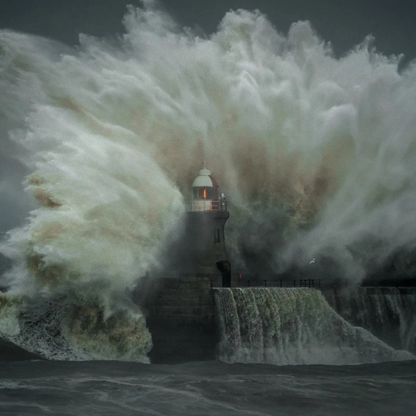 Dành 12 tiếng chụp 4.000 bức ảnh ở bến cảng, người đàn ông sửng sốt khi xem lại 1 tấm-5