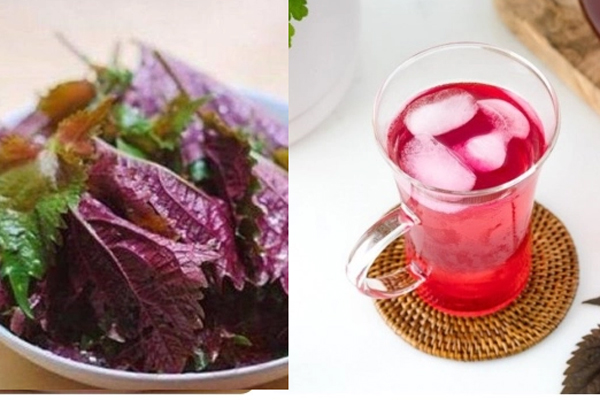 3 cách dùng lá tía tô giúp chị em đẹp từ trong ra ngoài-5