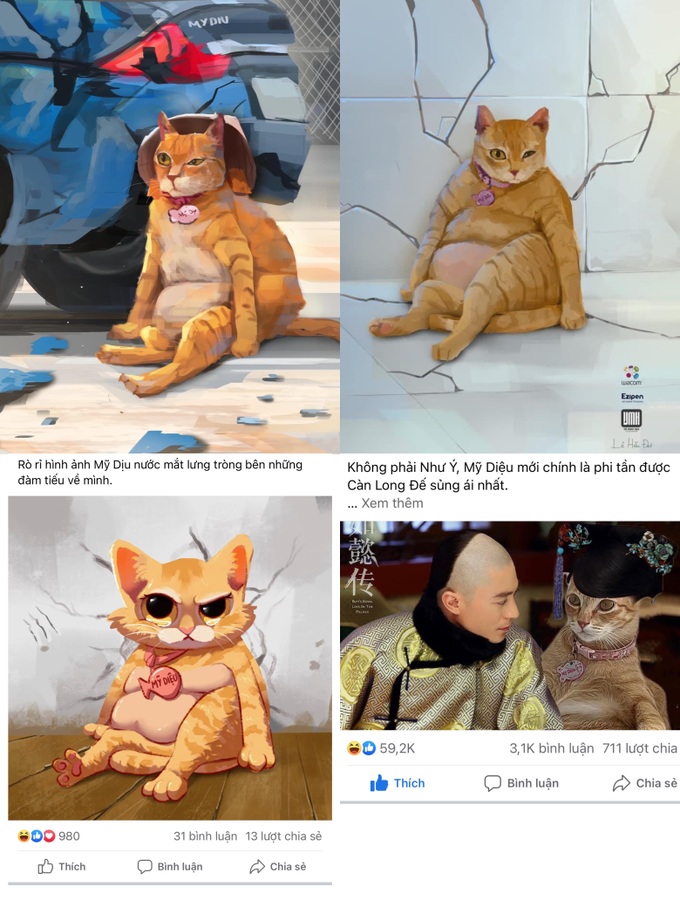 Gặp chủ của Mỹ Diệu - cô mèo hoang thành hiện tượng mạng nhờ dáng bầy hầy-3