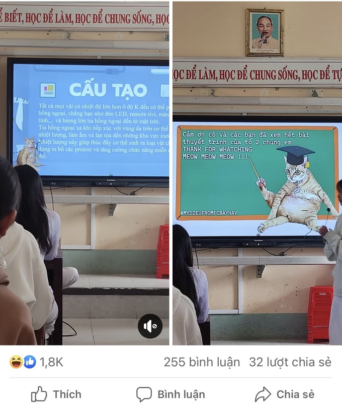 Gặp chủ của Mỹ Diệu - cô mèo hoang thành hiện tượng mạng nhờ dáng bầy hầy-4