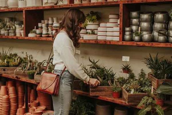 Chậu hoa cắt tỉa gọn gàng tố cáo sự thật về người cha được 4 đứa con kính trọng