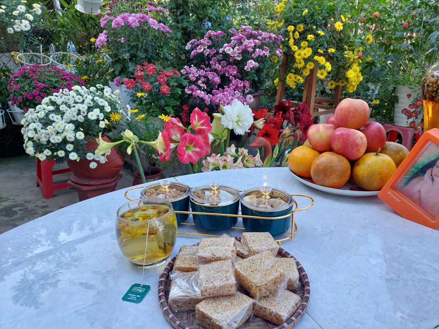 Khu vườn gần 60 loại cúc khoe sắc quanh năm ở Yên Bái-6