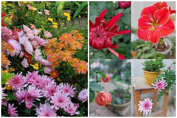 Mẫu phòng bếp nhỏ gọn vẫn sang, xịn, mịn đến bất ngờ-6