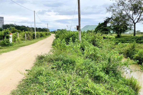 Rầm rộ rao bán đất rừng sản xuất, mỗi m2 giá bằng gói bim bim-3