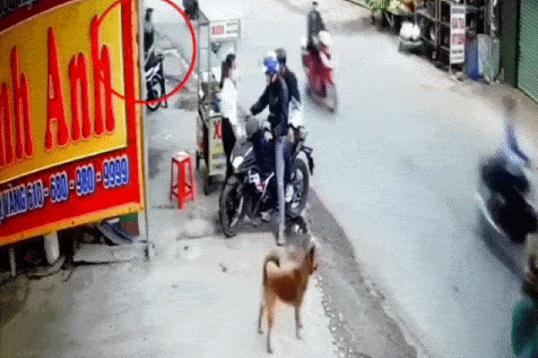 Hải Phòng: Chồng sát hại vợ, chém bố mẹ vợ trọng thương-1