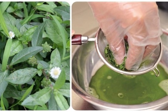 Uống nước nhọ nồi có tốt không?